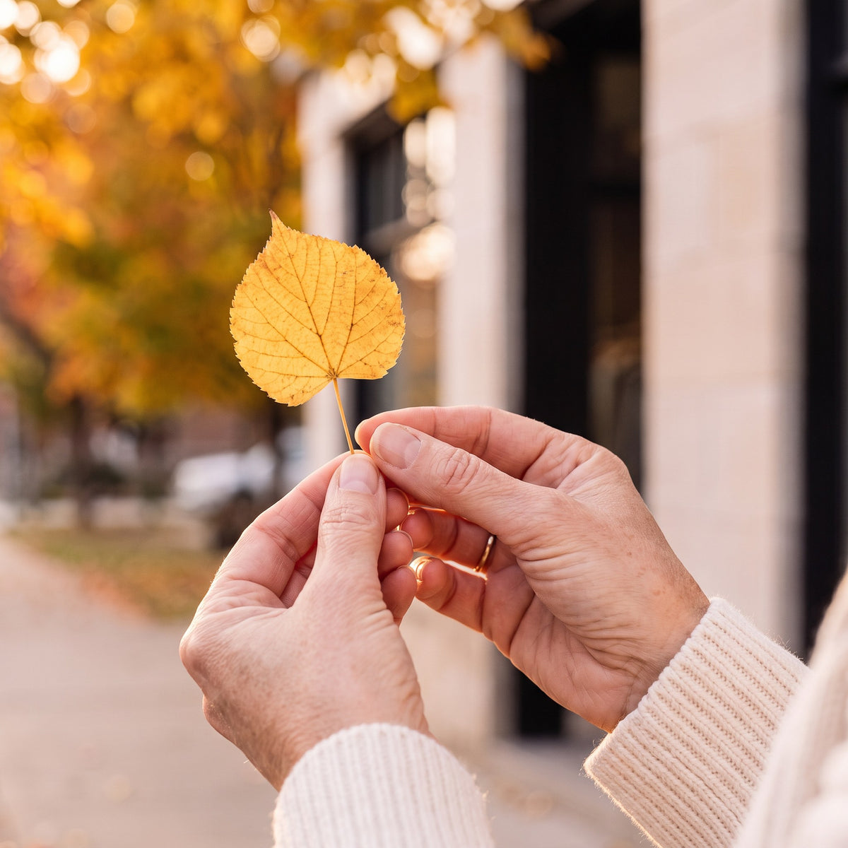 Mae holding a golden heart-shaped linden leaf