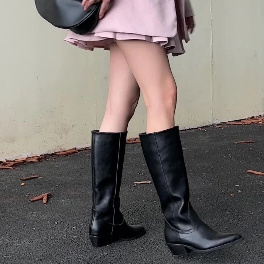 Sabrina Pointed Toe Knee-High Boots in Black