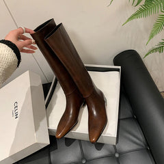 Sabrina Pointed Toe Knee-High Boots in Brown