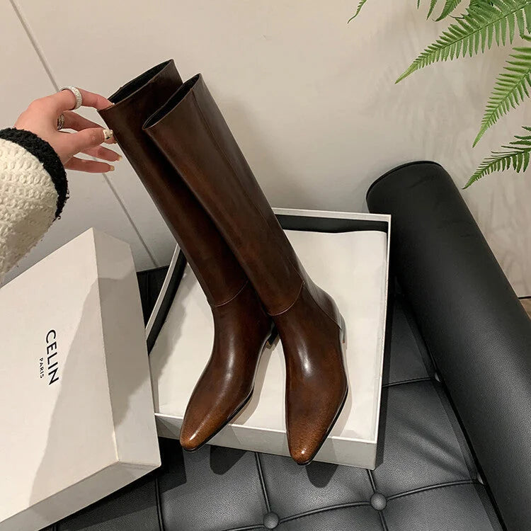 Sabrina Pointed Toe Knee-High Boots in Brown