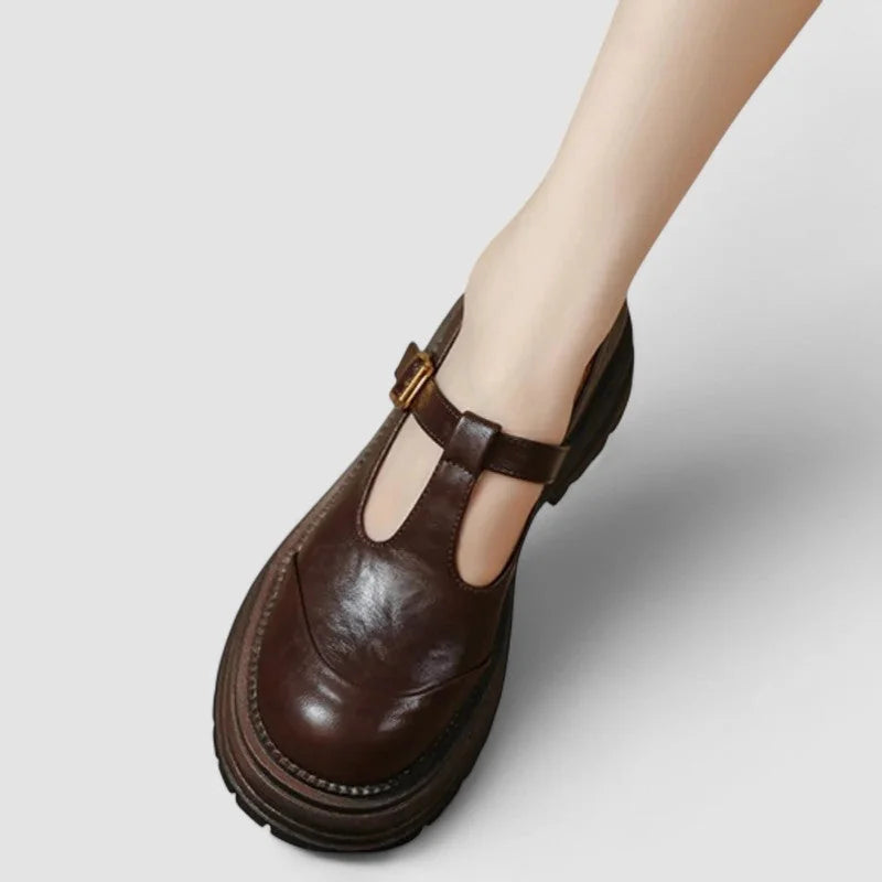 Willa Chunky T-Strap Mary Janes in Brown